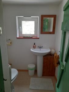 a bathroom with a sink and a mirror and a toilet at Stara Hiša in Log Čezsoški