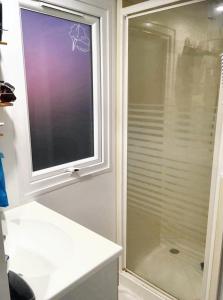 uma casa de banho com um chuveiro e uma janela de vidro. em Propriete de 3 chambres avec jardin clos a Saint Pierre em Saint-Pierre