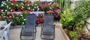two black chairs in a garden with flowers at Villa Adelina en Santa Pola in Santa Pola