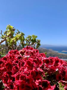 Fotografie z fotogalerie ubytování Morea Bay View v destinaci Tourlotí
