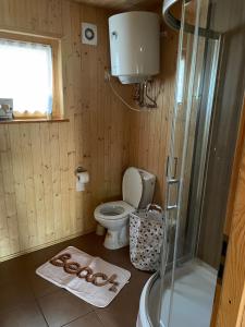 y baño con aseo, ducha y toallas. en Domki Letniskowe Nad Jeziorem Kazub, en Cieciorka