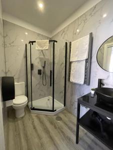 ein Bad mit einer Dusche, einem WC und einem Waschbecken in der Unterkunft 100 Contos in Porto