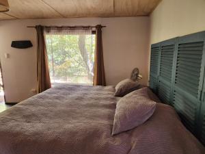 a bedroom with a large bed with a large window at Cabaña Jacuzzi Interior in San José de Maipo
