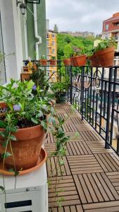 a balcony with potted plants on a railing at Kyiv Jungle apartment in Kyiv