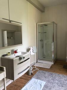 a bathroom with a sink and a shower at Chambres d'hôtes Château de Bonabry in Hillion +36 photos