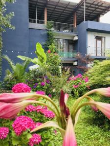 a garden with pink flowers in front of a building at Villa Del Mar in Gonio