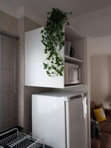 a kitchen with a white cabinet with a plant on it at Apartamento 102 do Residencial Argonauta in Bombinhas