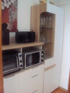a kitchen with a microwave oven and a cabinet at Appartement Jork Altes Land bei Hamburg direkt an der Elbe in Jork