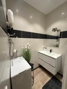 a bathroom with a white sink and a white counter at Le Refuge T3 centre ville 63m2 pied des montagnes in Albertville