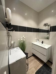 a bathroom with a white sink and a white counter at Le Refuge T3 centre ville 63m2 pied des montagnes in Albertville +16 photos