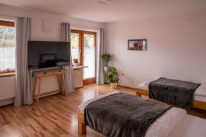 a living room with two beds and a television at Ferienwohnung zum Kunstei in Anger