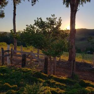 a wooden fence in a field with trees at Pousada Pico do Papagaio in Aiuruoca