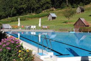 une grande piscine avec des chaises, des parasols et des fleurs dans l'établissement Belvedere, à Gernsbach