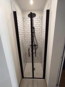 y baño con ducha a ras de suelo y puerta de cristal. en Appartement Quai Abbé Grégoire, en Blois 18 fotos más