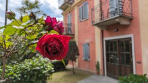 una rosa rossa cresce di fronte a un edificio di Lake view rooms and flats Casa Sul Lago a Orta San Giulio