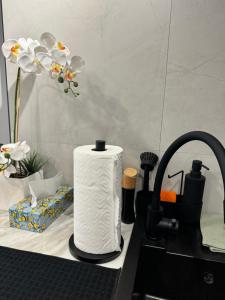a roll of paper towels sitting on top of a sink at Apartament w Centrum Tarnowa Lwowska in Tarnów +14 photos