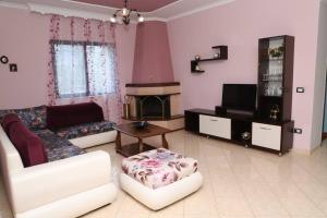 salon z kanapą i kominkiem w obiekcie Toni Apartment Berat w mieście Berat