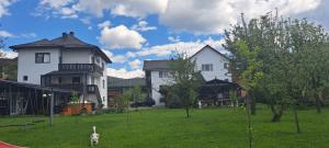 a dog walking in a yard in front of two houses at casa melinda in Vişeu de Sus +32 photos