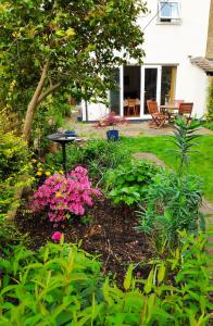 un jardín con flores rosas en un patio en Stylish Victorian House, en Watford