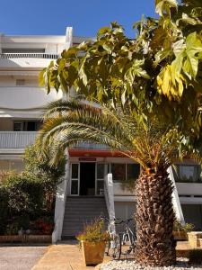 Budova, kde se apartmán nachází + 24 fotografií