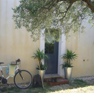 una bicicleta estacionada frente a una casa con plantas en La Ginente Appartement, en Argilliers