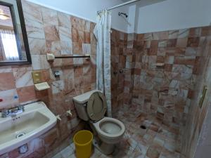 乌鲁阿潘Hotel del Parque的浴室里有马桶、洗手池和淋浴。