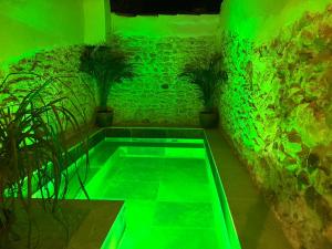 Piscine de l'établissement La maison du Bougainvillier 10 personnes ou située à proximité