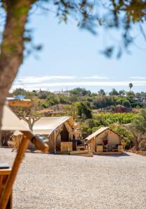 a group of tents in a field with trees at Oasis Camp Portugal in Lagoa