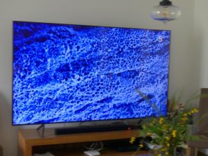 uma televisão de ecrã plano em cima de uma mesa em Maison à Saint-Augustin/mer proche de Saint Palais em Saint-Augustin
