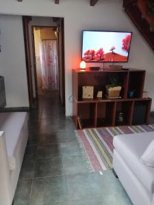 een woonkamer met een flatscreen-tv en een bank bij Depto en Villa Pehuenia in Villa Pehuenia