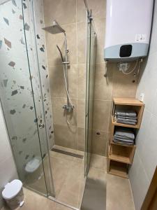 uma casa de banho com uma cabina de duche em vidro em Grand Vista Apartman em Palić
