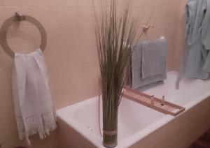 un vase d'herbe assis sur une baignoire dans la salle de bains dans l'établissement Il Nido Segreto b&b-Villa Varinelli, à Varano Borghi