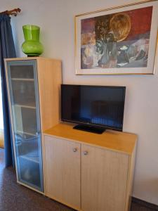 um centro de entretenimento com uma televisão de ecrã plano num armário de madeira em Haus Rieder em Pfarrwerfen