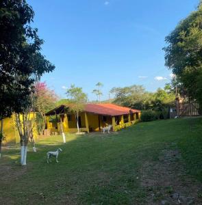 a yellow house with a dog standing in the yard at Casa amarela in Juiz de Fora