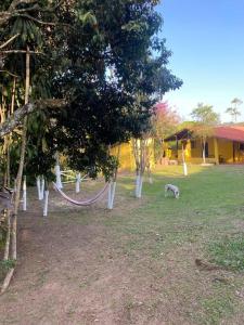 ジュイス・デ・フォーラにあるCasa amarelaのギャラリーの写真