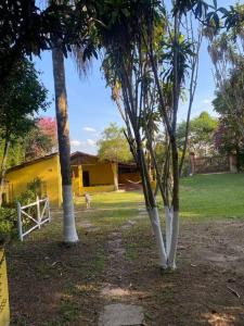 eine Gruppe von Bäumen in einem Hof mit einem Haus in der Unterkunft Casa amarela in Juiz de Fora
