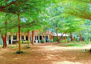 una casa con muchos árboles delante de ella en Chenang Indah Chalets, en Pantai Cenang 3 fotos más