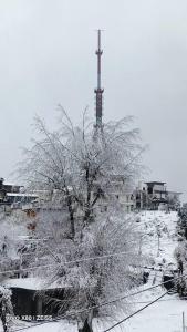 Abhi house during the winter