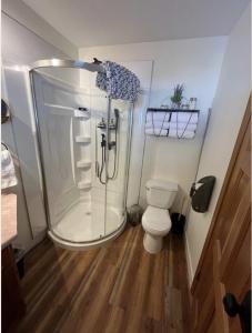 uma casa de banho com um chuveiro e um WC. em The Horse Lake Inn em Lone Butte