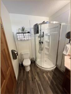 a bathroom with a shower and a toilet at The Horse Lake Inn in Lone Butte