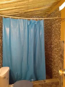 a bathroom with a blue shower curtain and a toilet at Tony's House Eco Hostel in Huaraz
