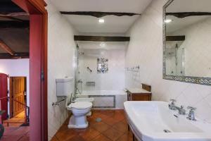 a bathroom with a toilet and a tub and a sink at Casa da Pedra Cavalgada in Braga