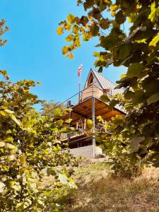 Zahrada ubytování The overlook cottage