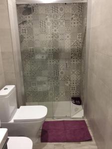 a bathroom with a shower with a toilet and a purple rug at Piso San Fernando centro in San Fernando