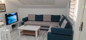 a living room with a couch and a tv at Apartment Elena in Herceg-Novi