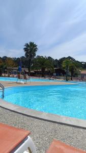 einen großen blauen Pool mit Stühlen und Palmen in der Unterkunft BUNGALOW - Cap Ferret in Lège-Cap-Ferret