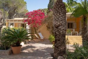 ein Haus mit einer Palme und rosa Blumen in der Unterkunft Bungalows Casa Amarilla in Playa Migjorn