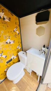 a bathroom with a white toilet and a sink at Angel Caves Farmstay in Vega de San Mateo