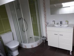 a bathroom with a shower and a toilet and a sink at Maison GAINEKO ETXEA in Ostabat-Asme +19 photos