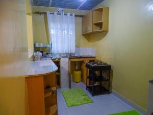 - une cuisine avec un évier et un comptoir dans l'établissement Nash Issah Green- Milimani Nakuru-1Bedroom, à Nakuru